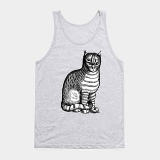 Sixteenth Century Tabby Cat or Brindle Cat Tank Top